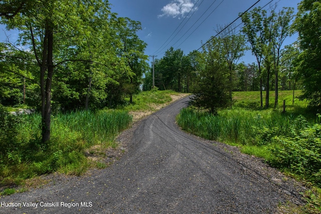 00 Adams Rd, Athens, NY 12015 - photo 9