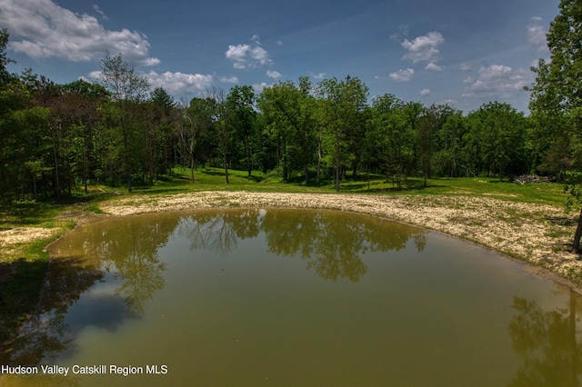 00 Adams Rd, Athens, NY 12015 - photo 10