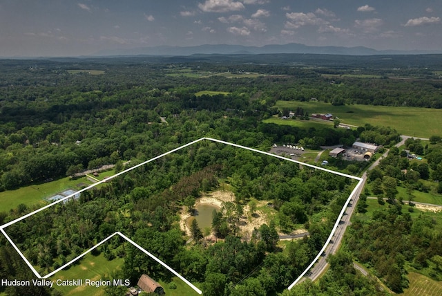 00 Adams Rd, Athens, NY 12015 - photo 2