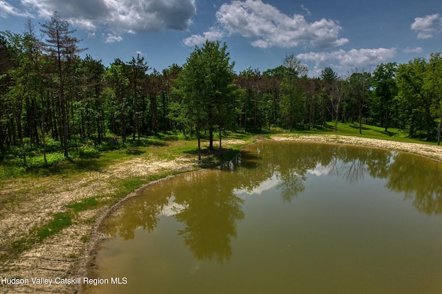 00 Adams Rd, Athens, NY 12015 - photo 7
