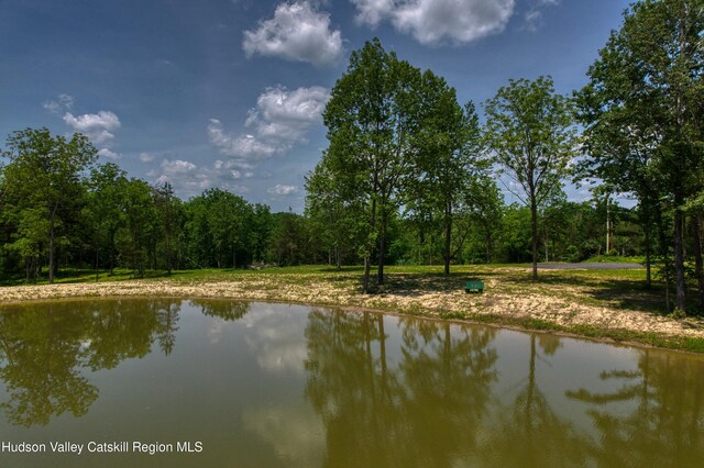 00 Adams Rd, Athens, NY 12015 - photo 11