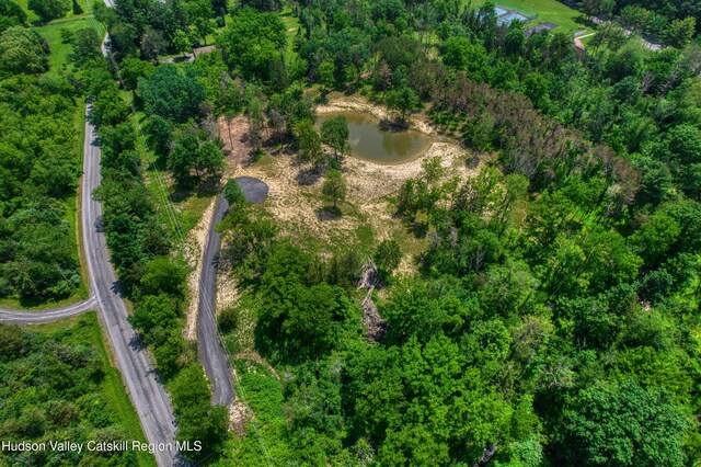00 Adams Rd, Athens, NY 12015 - photo 19