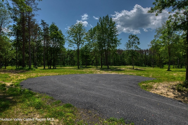 00 Adams Rd, Athens, NY 12015 - photo 4