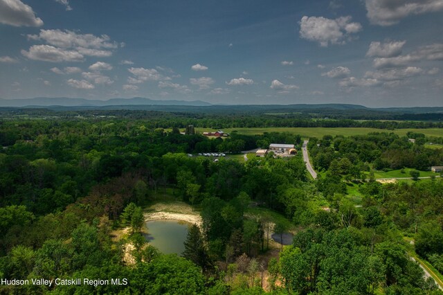 00 Adams Rd, Athens, NY 12015 - photo 16