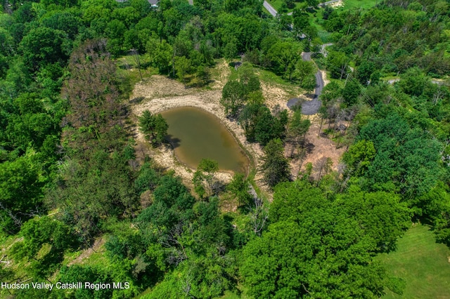 00 Adams Rd, Athens, NY 12015 - photo 1
