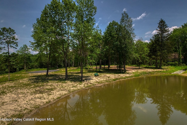 00 Adams Rd, Athens, NY 12015 - photo 13