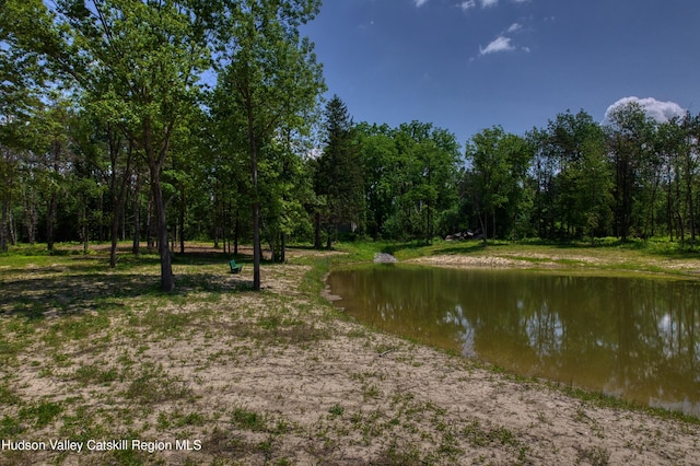 00 Adams Rd, Athens, NY 12015 - photo 12