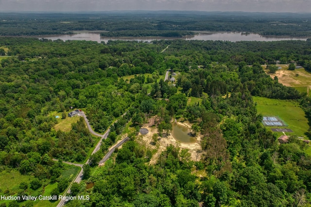 00 Adams Rd, Athens, NY 12015 - photo 18