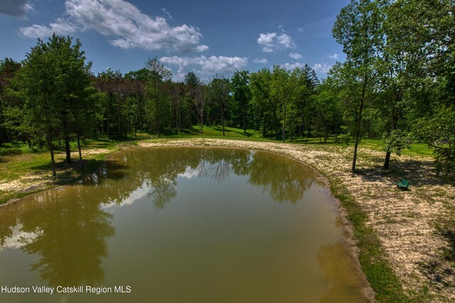 00 Adams Rd, Athens, NY 12015 - photo 8