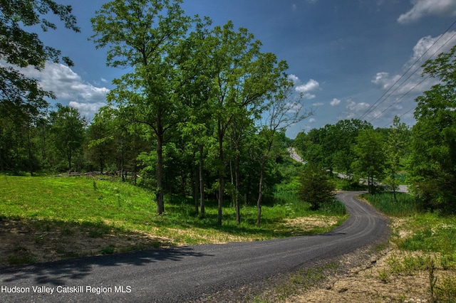 00 Adams Rd, Athens, NY 12015 - photo 6