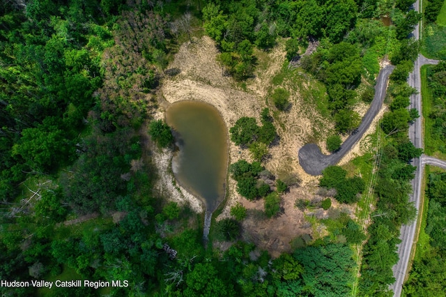 00 Adams Rd, Athens, NY 12015 - photo 22