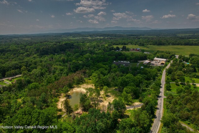 00 Adams Rd, Athens, NY 12015 - photo 17