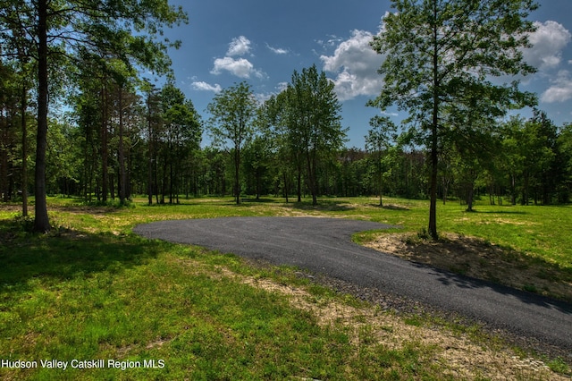 00 Adams Rd, Athens, NY 12015 - photo 5