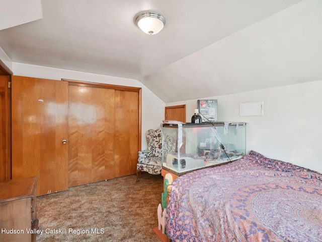 unfurnished bedroom with carpet, vaulted ceiling, and a closet