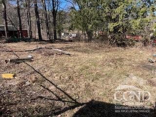 519 Old Rte 23, Acra, NY 12405 - view of yard
