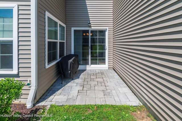 208 Hudson View Ter, Hyde Park, NY 12538 - view of patio / terrace featuring area for grilling