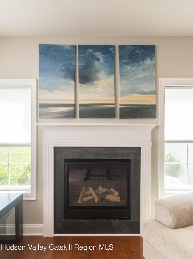 208 Hudson View Ter, Hyde Park, NY 12538 - detailed view of a glass covered fireplace and wood finished floors