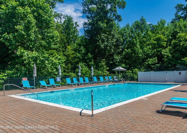 208 Hudson View Ter, Hyde Park, NY 12538 - community pool with a patio area