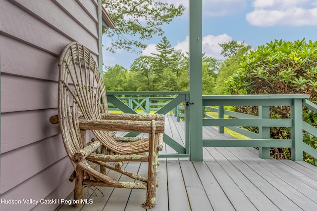 128 Newcut Rd, Bearsville, NY 12409 - photo 37