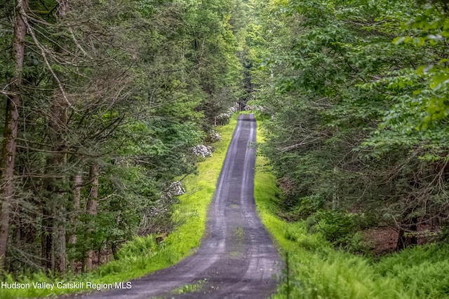 128 Newcut Rd, Bearsville, NY 12409 - photo 2