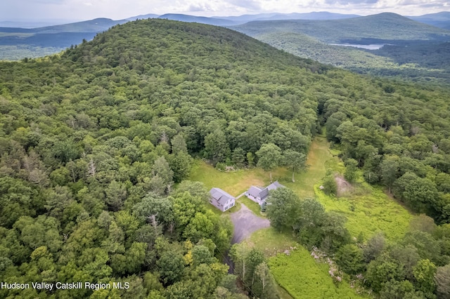128 Newcut Rd, Bearsville, NY 12409 - photo 1
