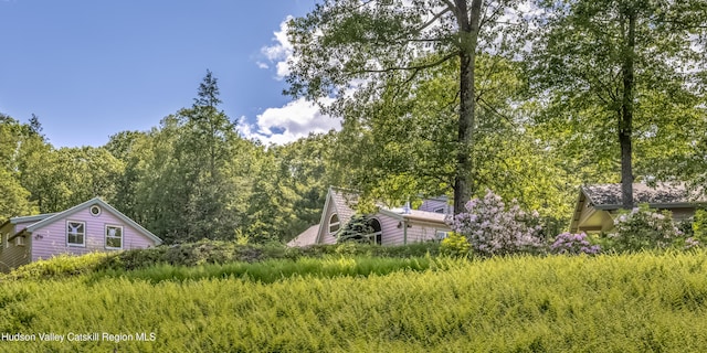 128 Newcut Rd, Bearsville, NY 12409 - photo 8