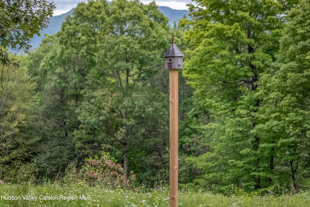 128 Newcut Rd, Bearsville, NY 12409 - photo 40
