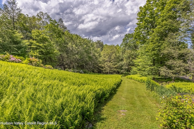 128 Newcut Rd, Bearsville, NY 12409 - photo 9