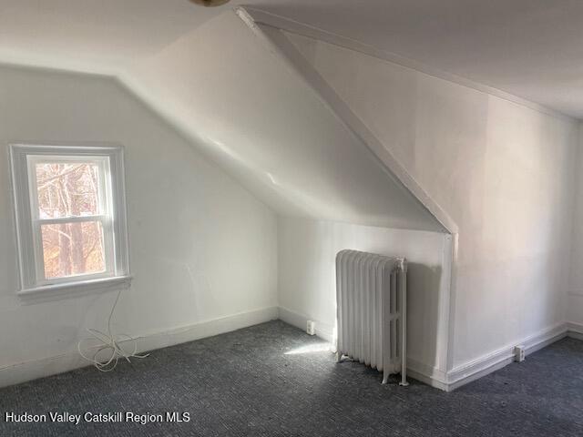 workout room featuring ceiling fan, radiator heating unit, and hardwood / wood-style floors