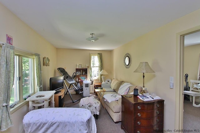 carpeted living room featuring plenty of natural light