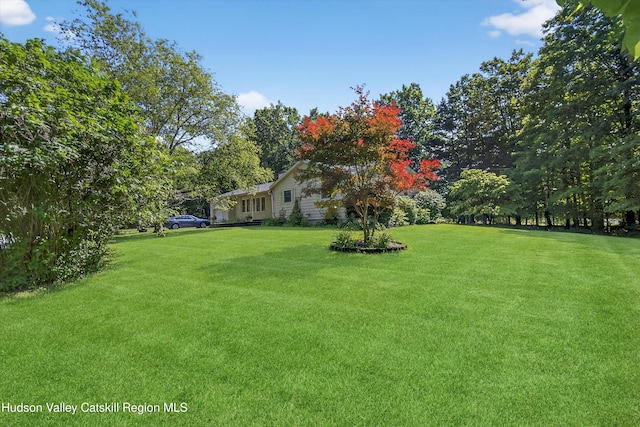 4 Mary Ann Ave, Saugerties, NY 12477 - photo 4