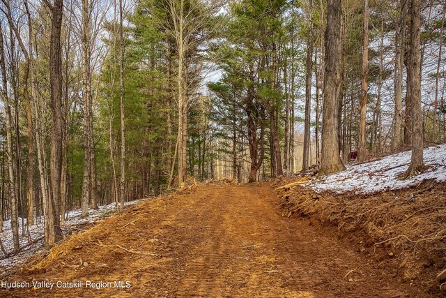 TBD11/12 Strong Rd, Cornwallville, NY 12418 - photo 3