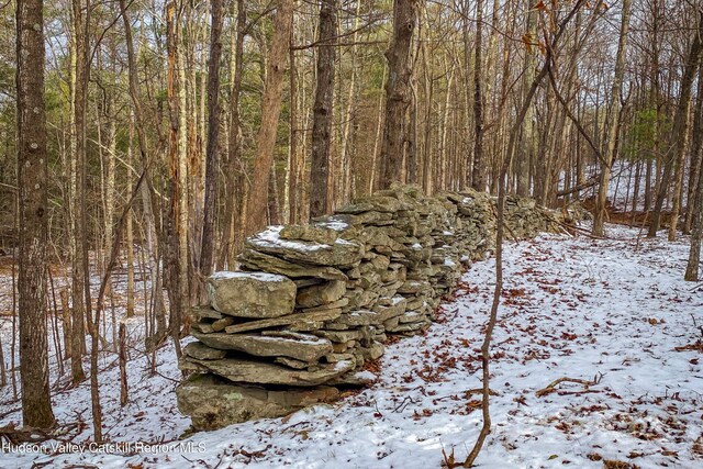 TBD11/12 Strong Rd, Cornwallville, NY 12418 - photo 6