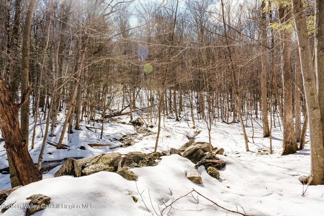 TBD11/12 Strong Rd, Cornwallville, NY 12418 - photo 8