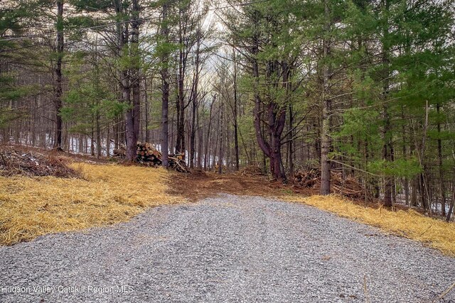 TBD11/12 Strong Rd, Cornwallville, NY 12418 - photo 2