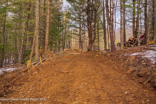 TBD11/12 Strong Rd, Cornwallville, NY 12418 - photo 13