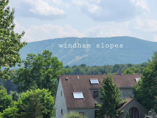 4 French Park Dr Unit 1 2A, Windham, NY 12496 - photo 26
