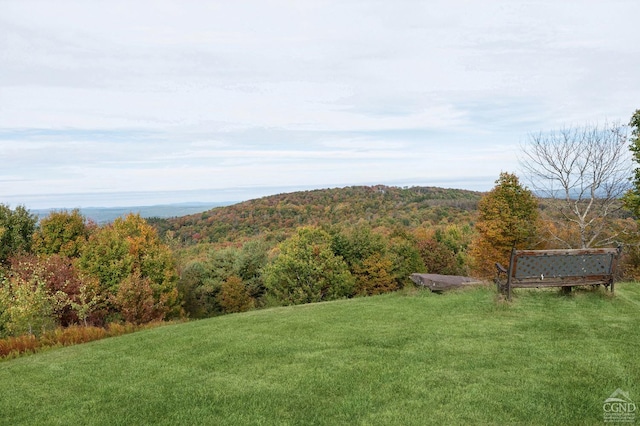 187 Mt Jeffereson Rd, Jefferson, NY 12167 - view of green lawn featuring a forest view
