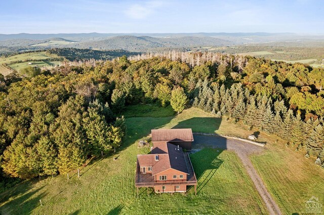 187 Mt Jeffereson Rd, Jefferson, NY 12167 - aerial overview of property's location with a heavily wooded area