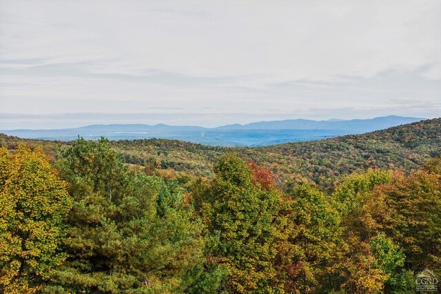 187 Mt Jeffereson Rd, Jefferson, NY 12167 - view of mountain backdrop with a forest