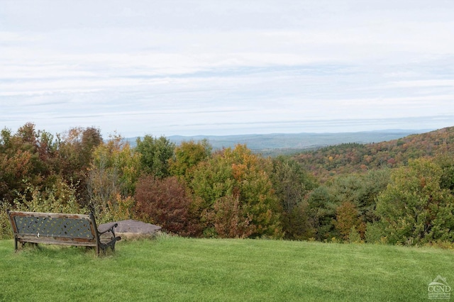 187 Mt Jeffereson Rd, Jefferson, NY 12167 - view of green lawn featuring a wooded view
