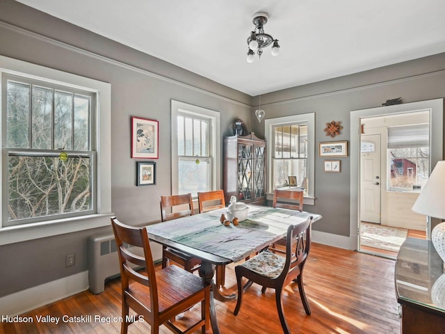 dining area with hardwood / wood-style floors, a healthy amount of sunlight, and radiator heating unit