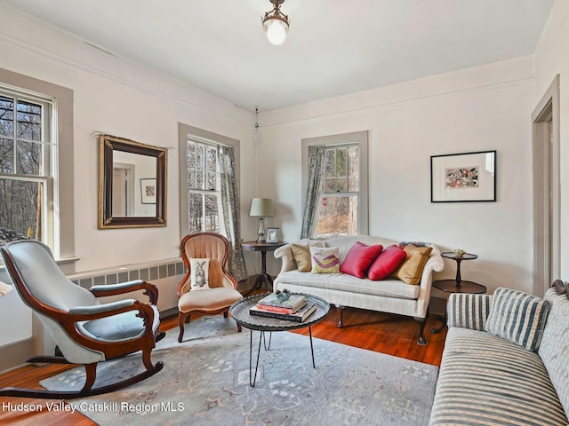 living room featuring radiator heating unit, a healthy amount of sunlight, and wood-type flooring