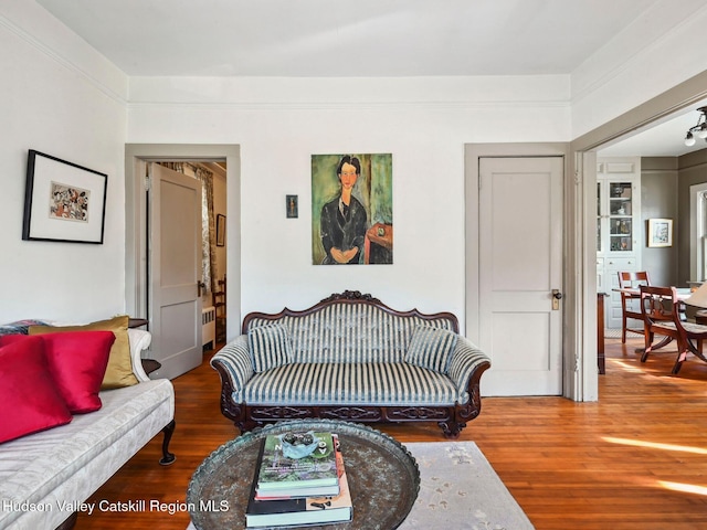 living room with wood-type flooring