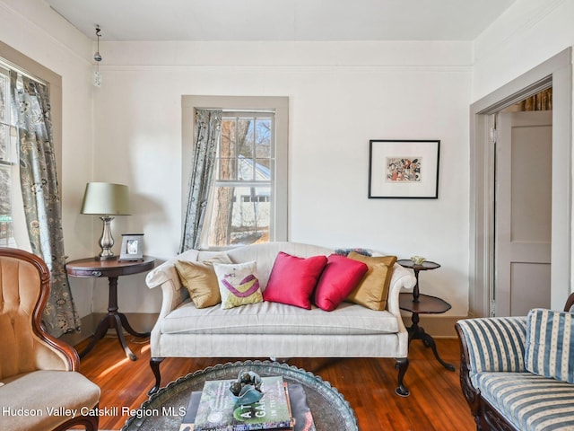 living room featuring hardwood / wood-style flooring