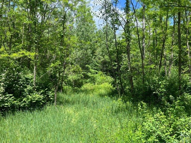 0 Lake Mills Rd, Cairo, NY 12413 - photo 3