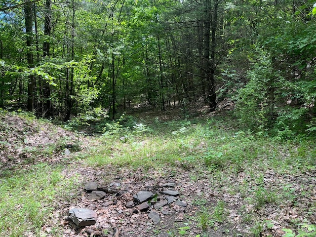 0 Lake Mills Rd, Cairo, NY 12413 - photo 2