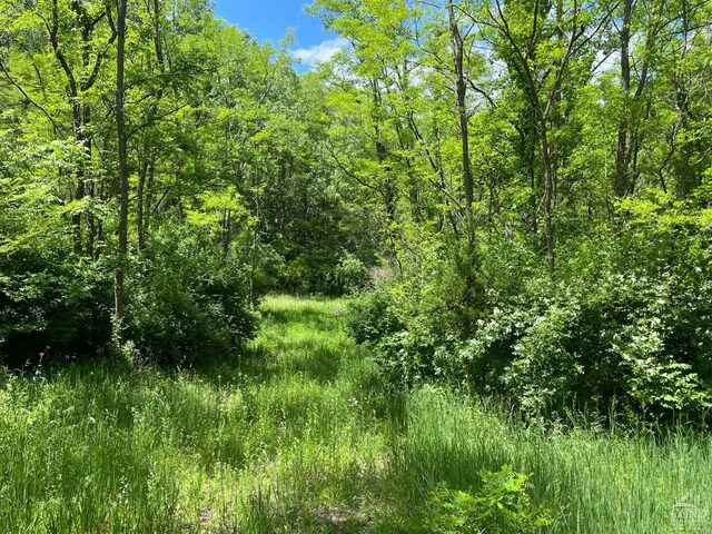 0 Lake Mills Rd, Cairo, NY 12413 - photo 4