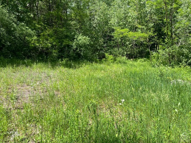 0 Lake Mills Rd, Cairo, NY 12413 - photo 5