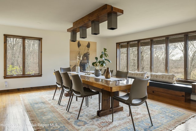 dining space with light hardwood / wood-style floors and a healthy amount of sunlight